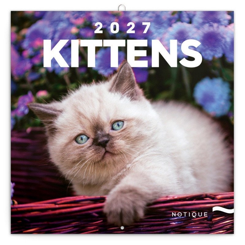 Kalendář 2027 poznámkový: Koťata 2027, 30 x 30 cm – -