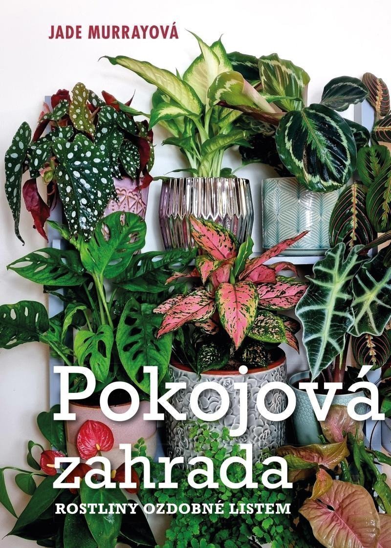 Pokojová zahrada – Jade Murray