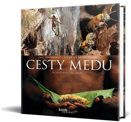 Cesty medu – Sylla de Saint Pierre
