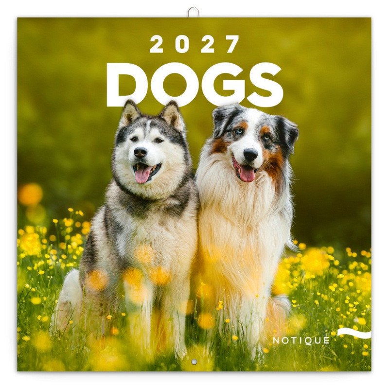 Kalendář 2027 poznámkový: Psi 2027, 30 x 30 cm – -