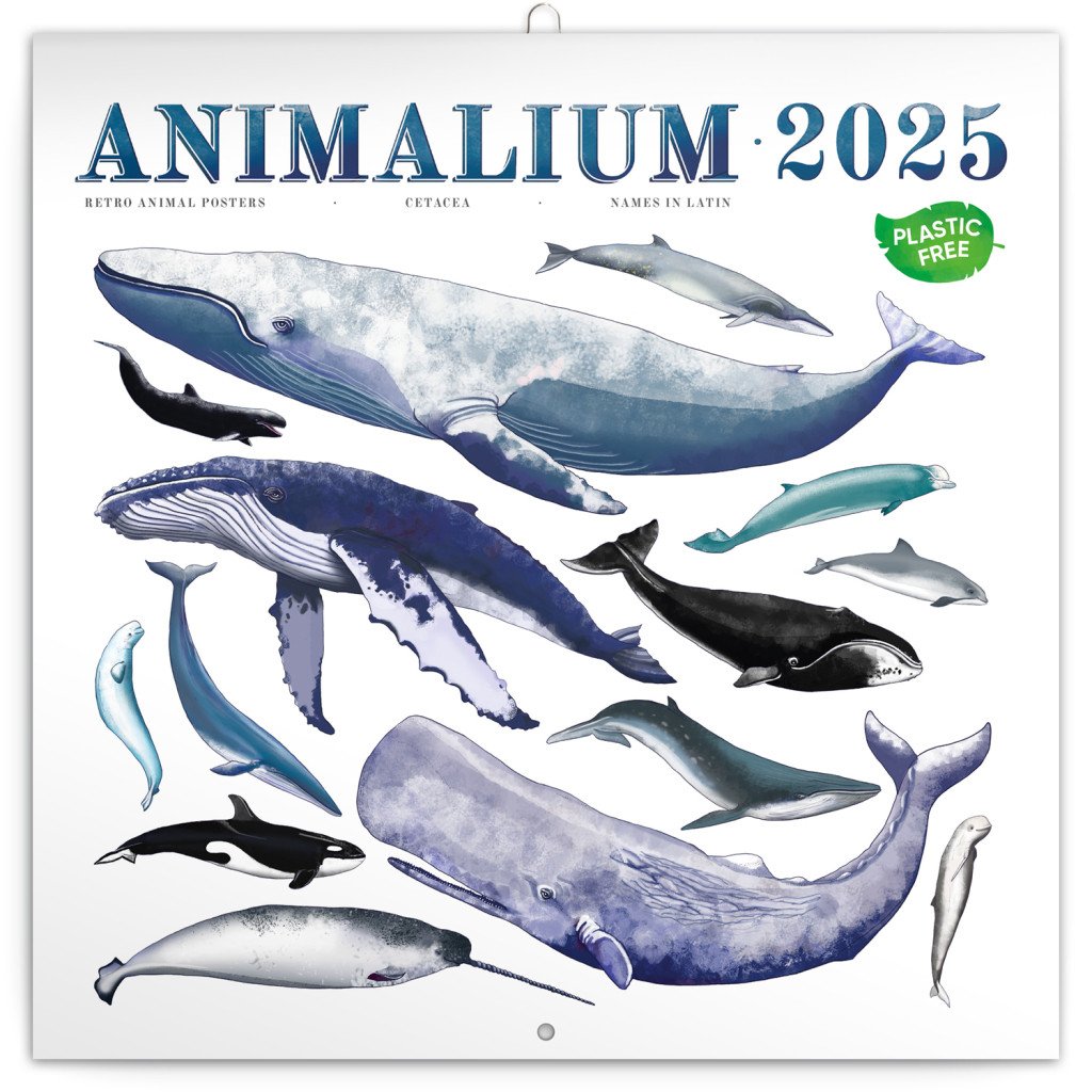 Kalendář 2025 poznámkový: Animalium, 30 × 30 cm