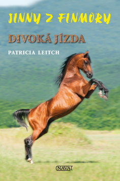 Jinny z Finmory 2 - Divoká jízda – Patricia Leitch