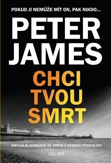Chci tvou smrt – Peter James