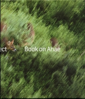 Book on Ahae – Milan Knížák