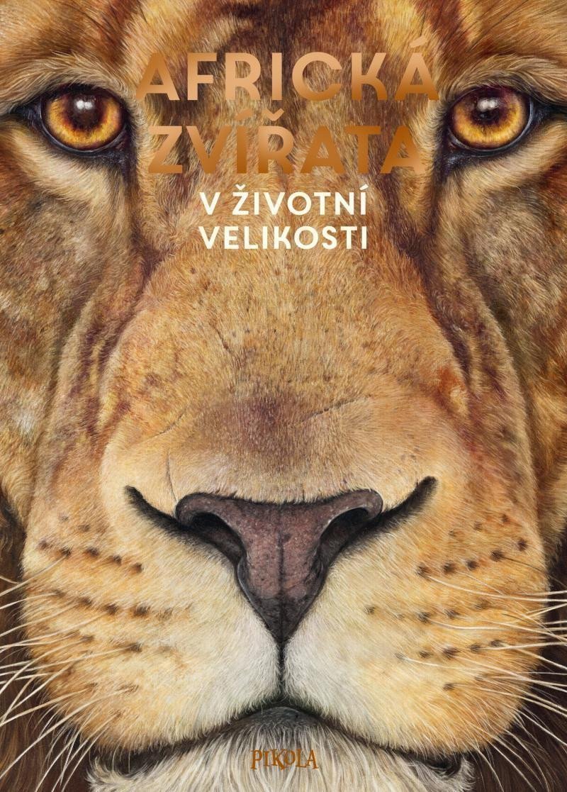 Africká zvířata: V životní velikosti – Holger Haag