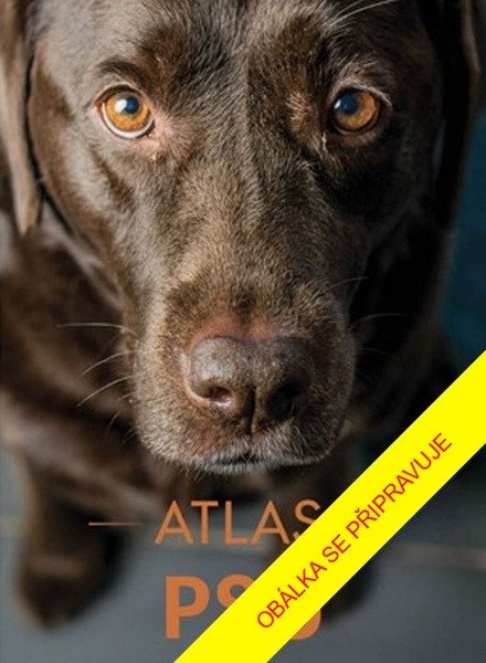 Atlas psů – Izabela Przeczek