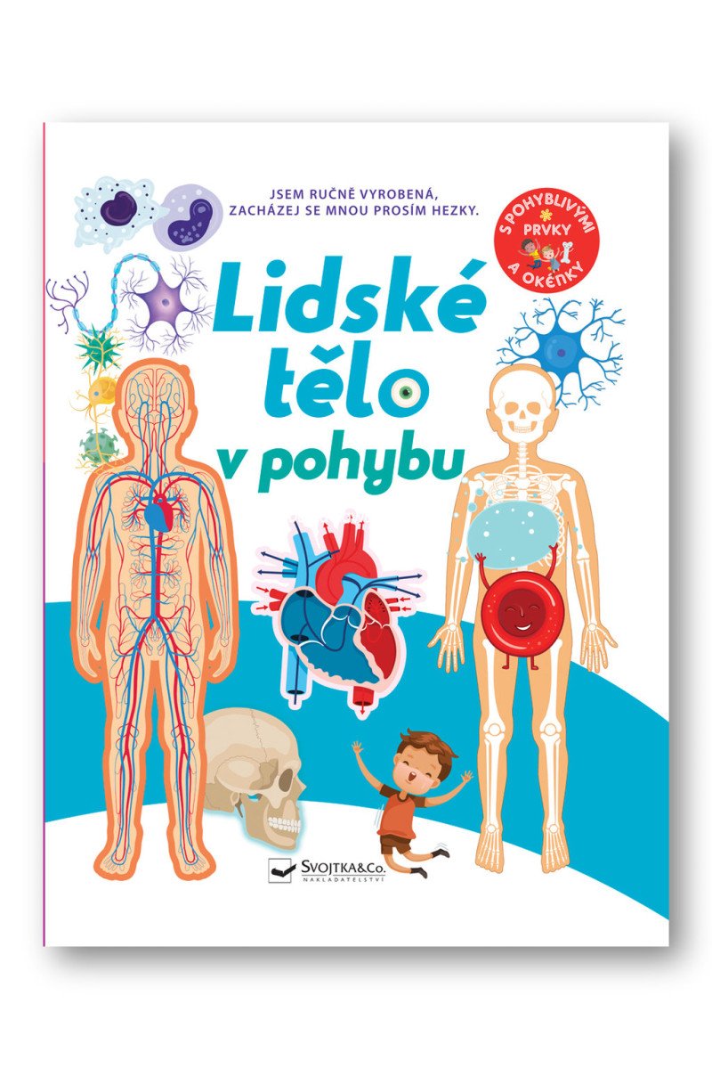 Lidské tělo v pohybu – David Hawcock