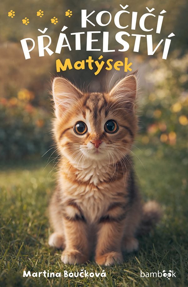 Kočičí přátelství - Matýsek – Martina Boučková