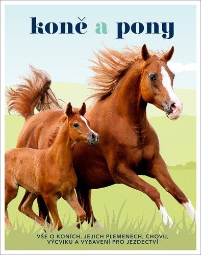 Koně a pony - Vše o koních, jejich plemenech, chovu, výcviku a vybavení pro jezdectví – Caroline Stamps