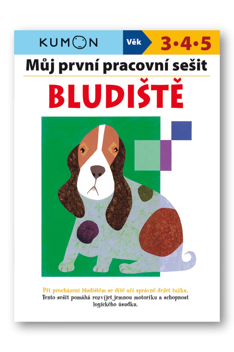 Bludiště - Můj pracovní sešit – Giovanni K. Moto