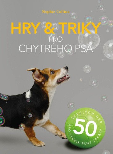 Hry a triky pro chytrého psa - 50 skvělých her pro výcvik plný zábavy – Sophie Collins