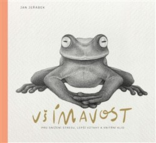 Všímavost pro snížení stresu, lepší vztahy a vnitřní klid – Jan Jeřábek