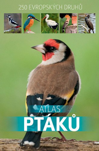 Atlas ptáků - 250 evropských druhů – Dominik Marchowski