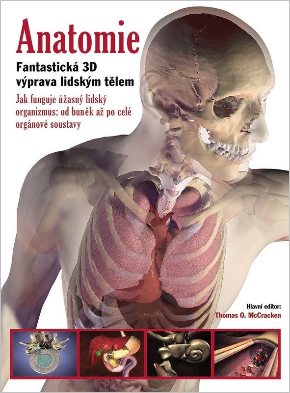 Anatomie - Fantastická 3D výprava lidským tělem – McCracken Thomas O.