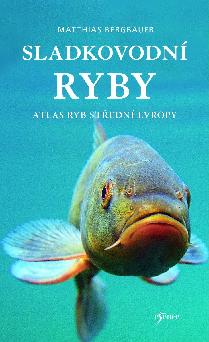 Sladkovodní ryby – Matthias Bergbauer