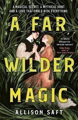 A Far Wilder Magic – Allison Saft