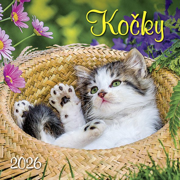 Kalendář 2026 Kočky, nástěnný, 33 x 33 cm