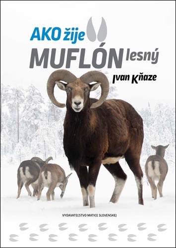 Ako žije muflón lesný – Ivan Kňaze