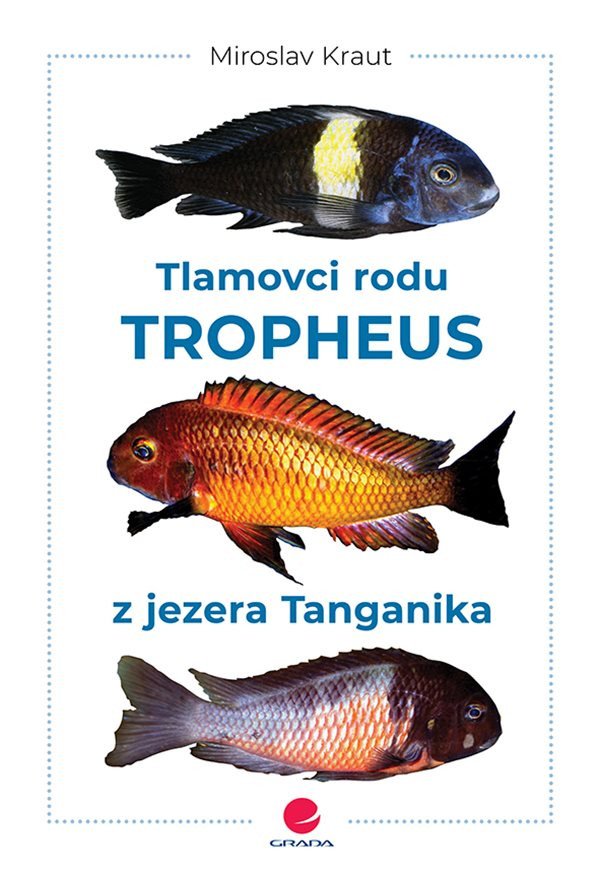 Tlamovci rodu Tropheus z jezera Tanganika – Miroslav Kraut