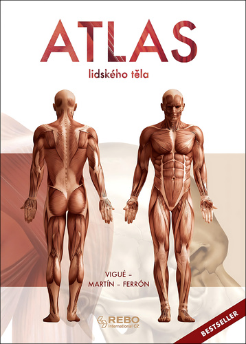 Atlas lidského těla – Jordi Vigué