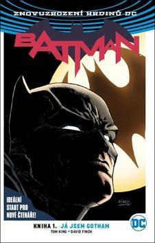 Batman Já jsem Gotham - Tom King; David Finch