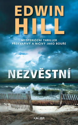 Nezvěstní - Misteriózní thriller překvapivý a ničivý jako bouře - Edwin Hill