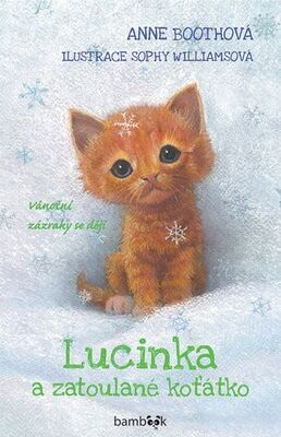 Lucinka a zatoulané koťátko - Vánoční zázraky se dějí - Anne Boothová