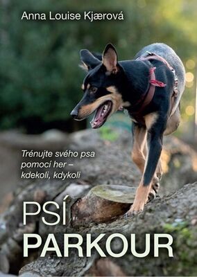 Psí parkour - Trénujte svého psa pomocí her - kdekoli, kdykoli - Anna Luis Kjaerová