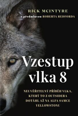 Vzestup vlka 8 - Neuvěřitelný příběh vlka, který to z outsidera dotáhl až na alfa samce Yellowsto - Rick McIntyre