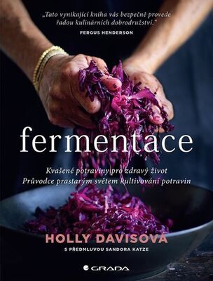 Fermentace - Kvašené potraviny pro zdravý život - Holly Davis