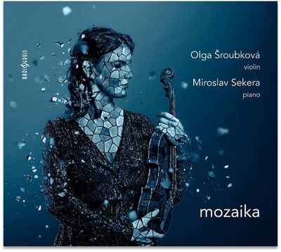 Mozaika - Olga Šroubková