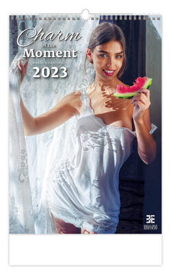 Charm of the Moment 2023 - nástěnný kalendář