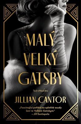 Malý velký Gatsby - Jillian Cantor