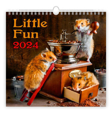 Little Fun - nástěnný kalendář 2024