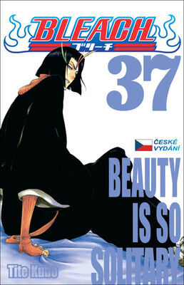 Bleach 37 - Beauty is so Solitary - Tite Kubo